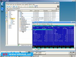 CygwinEasy2007光盤運行版與Cygwin Release 2006 回顧經(jīng)典Windows軟件開發(fā)與運行平臺服務(wù)